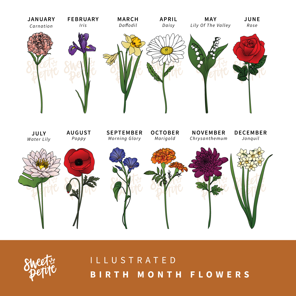 our family bunch | vibrant modern